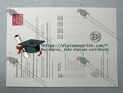Cardiff University Academic record