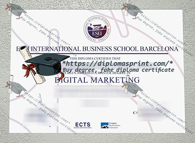 ESEI International Business School Credentials