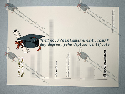 Linnaeus University Qualification Credentials
