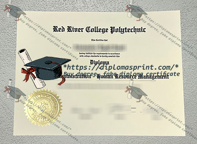 RRC Polytech Diploma