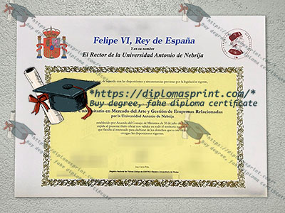 Universidad Antonio de Nebrija Credentials