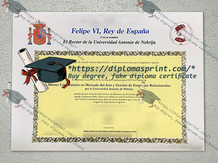 Universidad Antonio de Nebrija Diploma