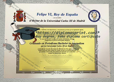 Charles III University of Madrid Credentials