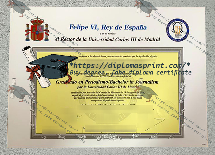 Charles III University of Madrid Diploma, UC3M Diploma