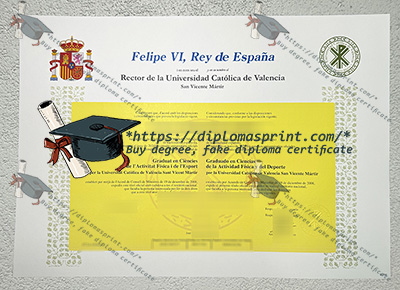Universidad Católica de Valencia San Vicente Mártir Credentials