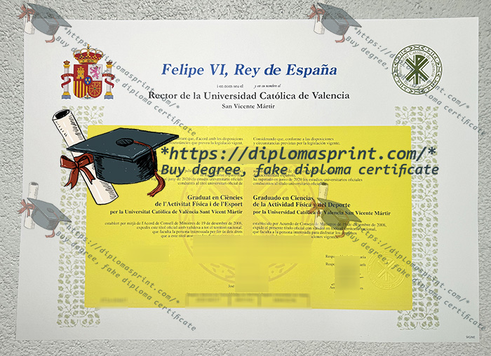 Universidad Católica de Valencia San Vicente Mártir Diploma