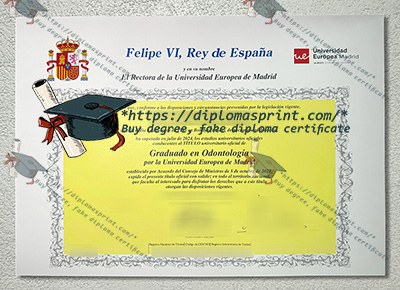 European University of Madrid Credentials