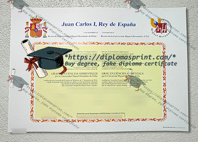 Miguel Hernandez University Credentials