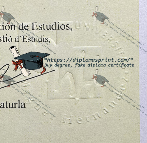Miguel Hernandez University Credentials Seal