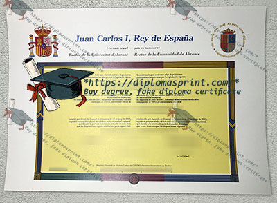 Universidad de Alicante Credentials
