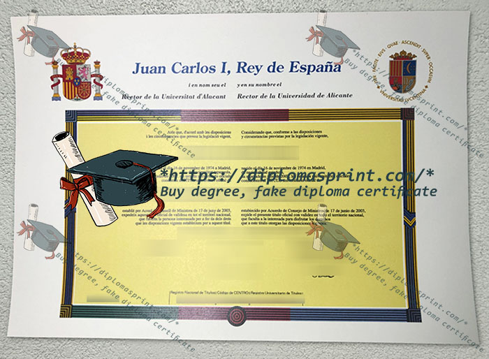 Universidad de Alicante Diploma