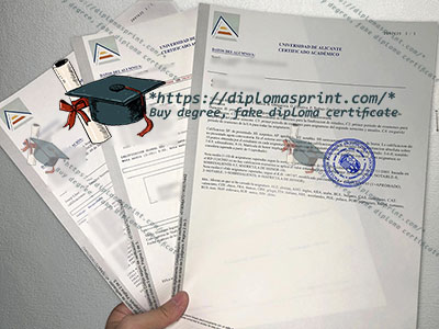 University of Alicante Academic record