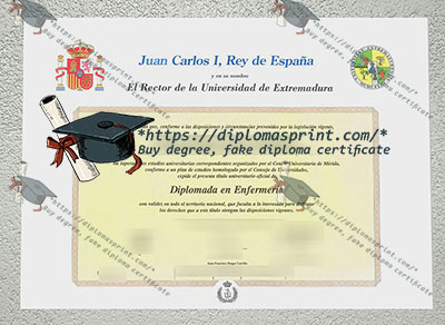 University of Extremadura Credentials
