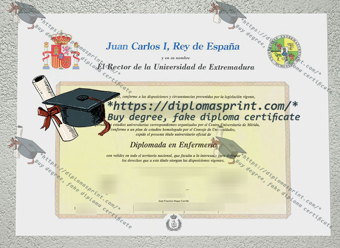 University of Extremadura Diploma, Universidad de Extremadura Diploma