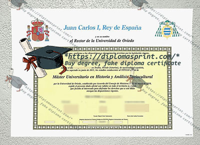 Universidad de Oviedo Credentials