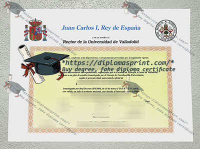 University of Valladolid Credentials