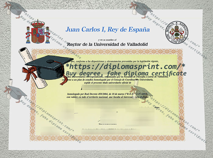 University of Valladolid Diploma, Universidad de Valladolid Diploma