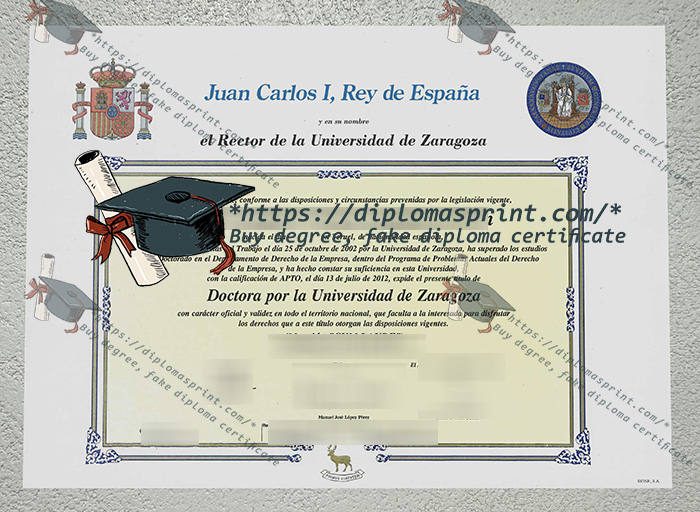 Universidad de Zaragoza Diploma
