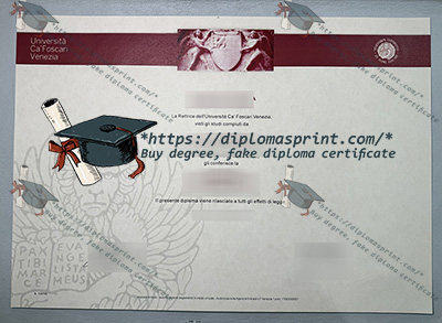 Università Ca' Foscari di Venezia Credentials
