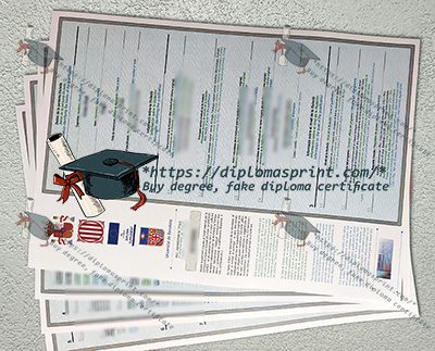 Universitat de Barcelona Academic record