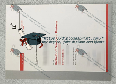 University of Bern Credentials