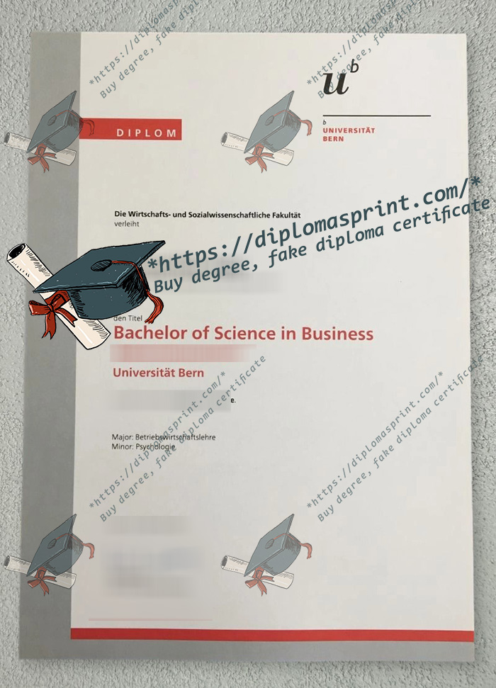 University of Bern Credentials