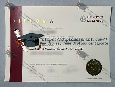 University of Geneva Credentials