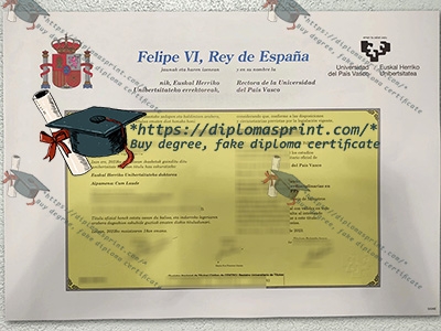 University of the Basque Country Credentials