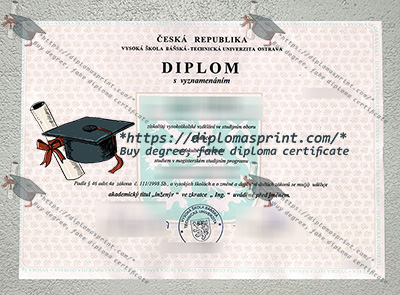 VSB–TUO Credentials