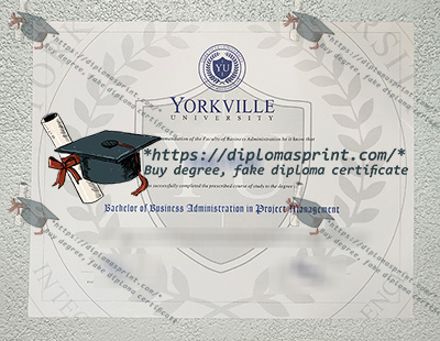 Yorkville University Credentials