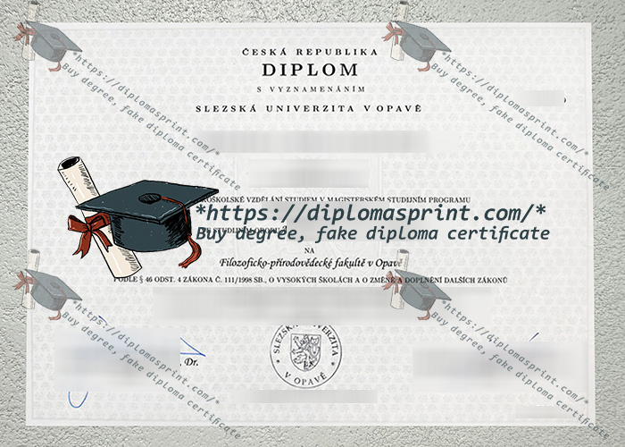 Západočeská univerzita v Plzni Diplom