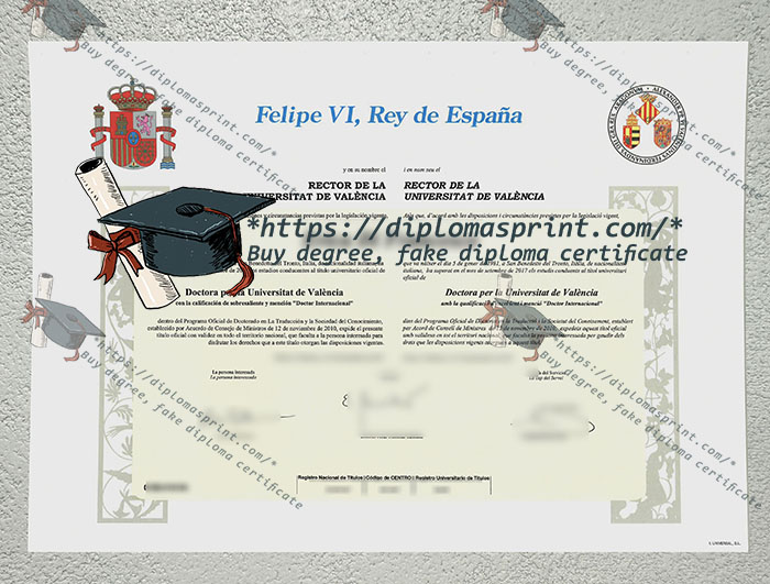 University of Valencia Diploma