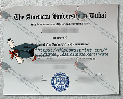 American University in Dubai Credentials