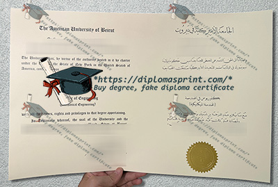 American University of Beirut Credentials