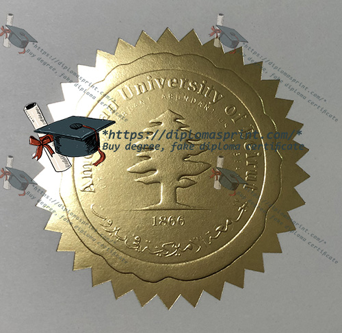 American University of Beirut Credentials seal