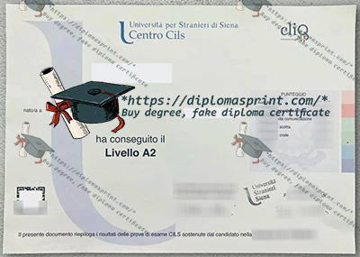 CILS Credentials