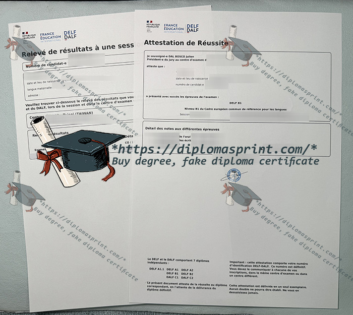 DELF B1 Attestation de réussite
