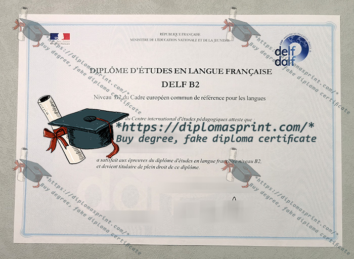 DELF B2 Certificate