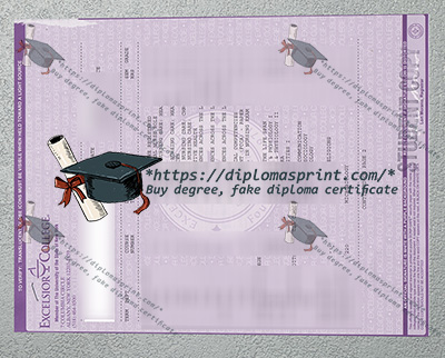 Excelsior University Academic record