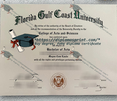 FGCU Credentials
