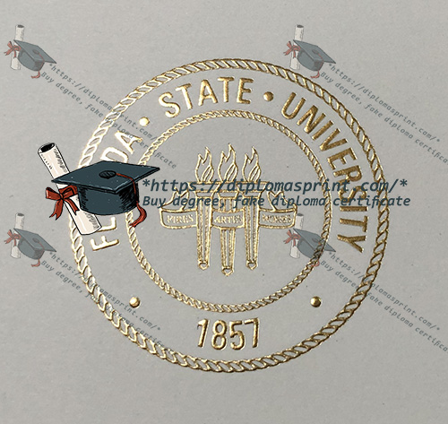FSU Credentials Seal