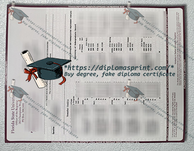 Florida State University Academic record
