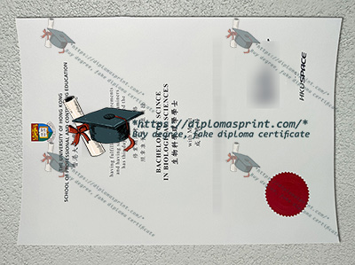 HKU Space Credentials