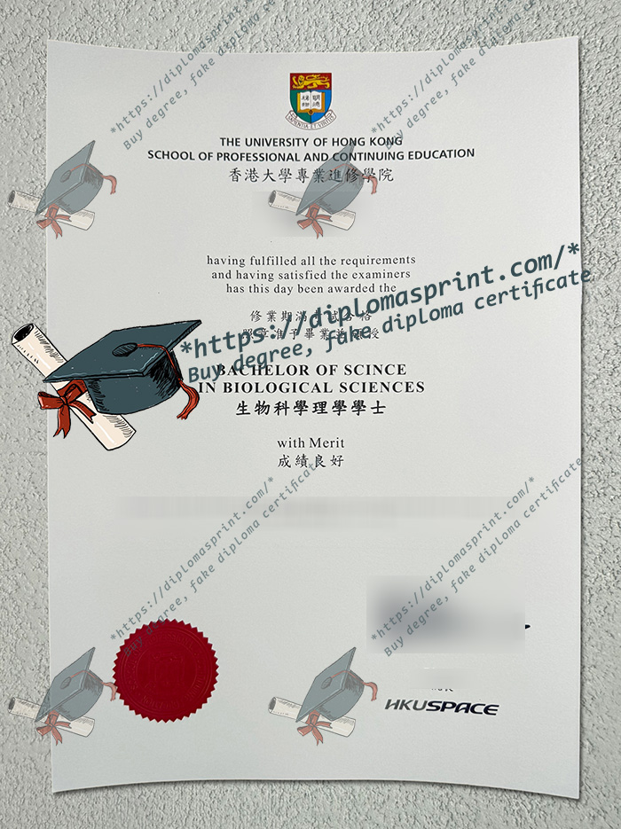 HKU Space Diploma
