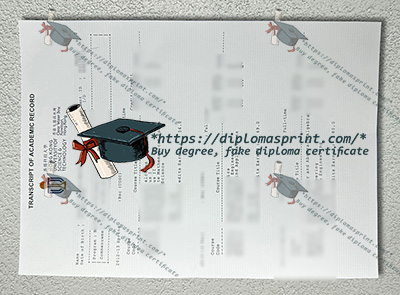 HKUST Academic record