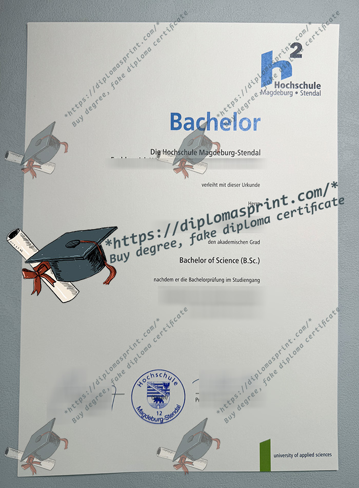 Hochschule Magdeburg-Stendal Urkunde