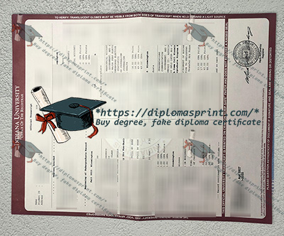 IU Bloomington Academic record