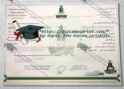 King Abdulaziz University Credentials