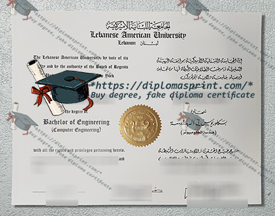 Lebanese American University Credentials