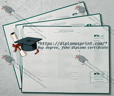 LAU Academic record